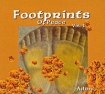 Ailon Footprints Of Peace Vol 1 Формат: Audio CD (DigiPack) Дистрибьюторы: ZYX Music, Концерн "Группа Союз" Германия Лицензионные товары Характеристики аудионосителей 2009 г Альбом: Импортное издание инфо 1280p.